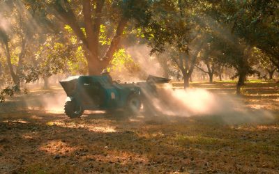 Tomás Uriona y la excelencia en la exportación de nuez pecana